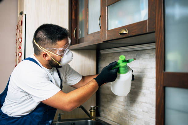 Best Flea Control Services  in Karnes City, TX