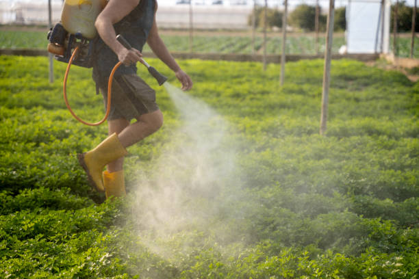 Best Commercial Pest Control Services  in Karnes City, TX