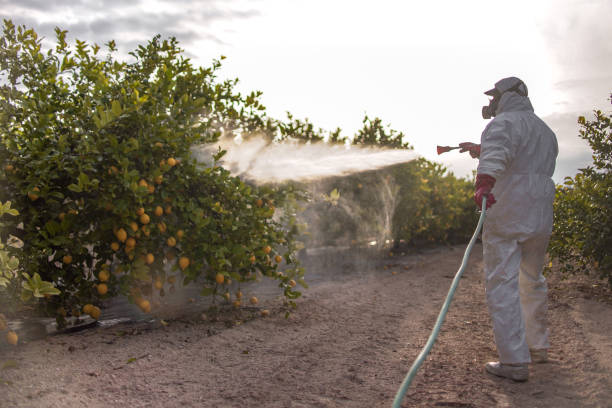 Best Pest Removal Services  in Karnes City, TX