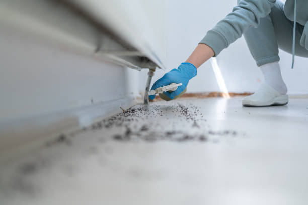 Best Ant Control Services  in Karnes City, TX
