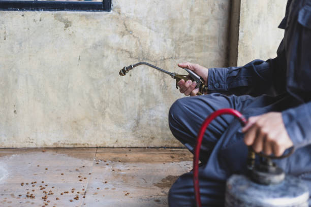 Best Pest Control for Businesses  in Karnes City, TX